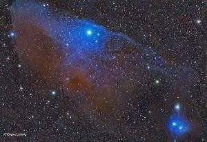 thumb IC4592