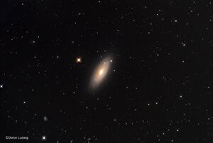 thumb NGC2841